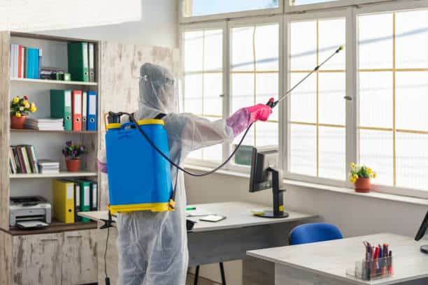 5 nuisibles courants dans les locaux d&rsquo;entreprise.