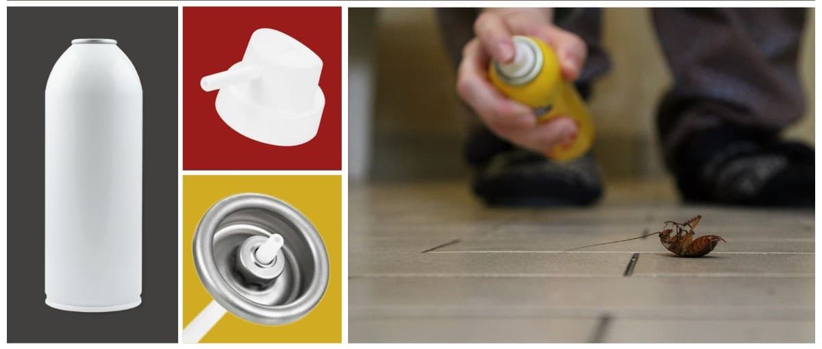 Est-ce qu&rsquo;un aérosol insecticide peut résoudre mon problème de nuisibles ?