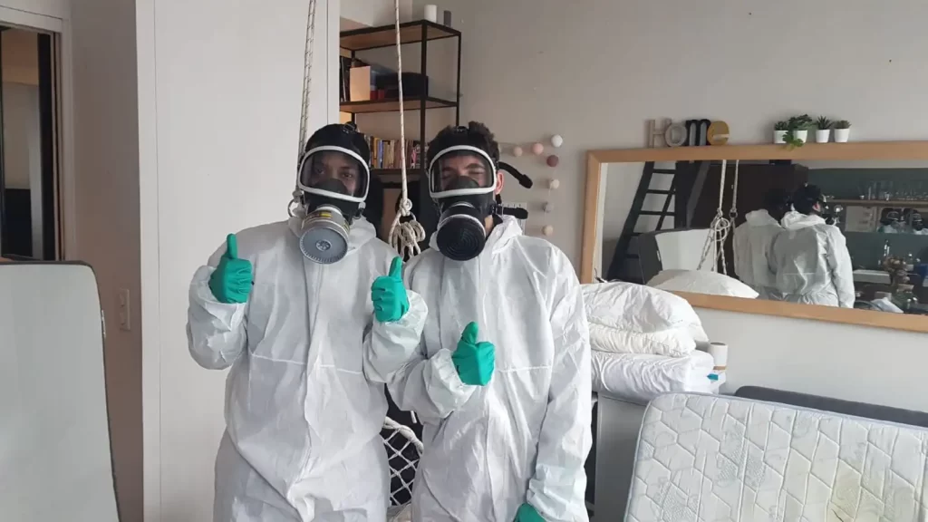 Deux professionnels lutte antiparasitaire