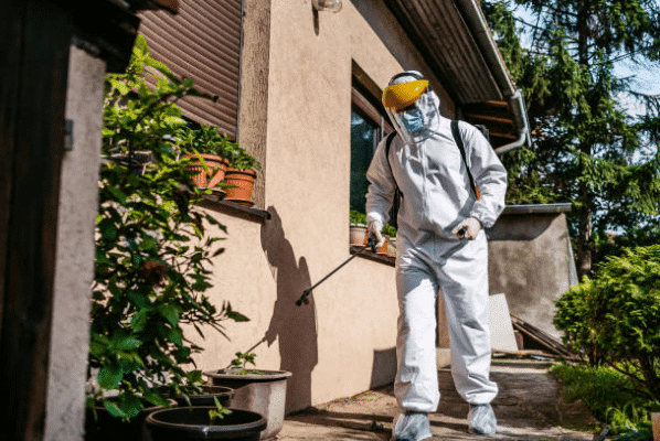 3 raisons d&rsquo;opter pour des inspections antiparasitaires régulières pour votre domicile