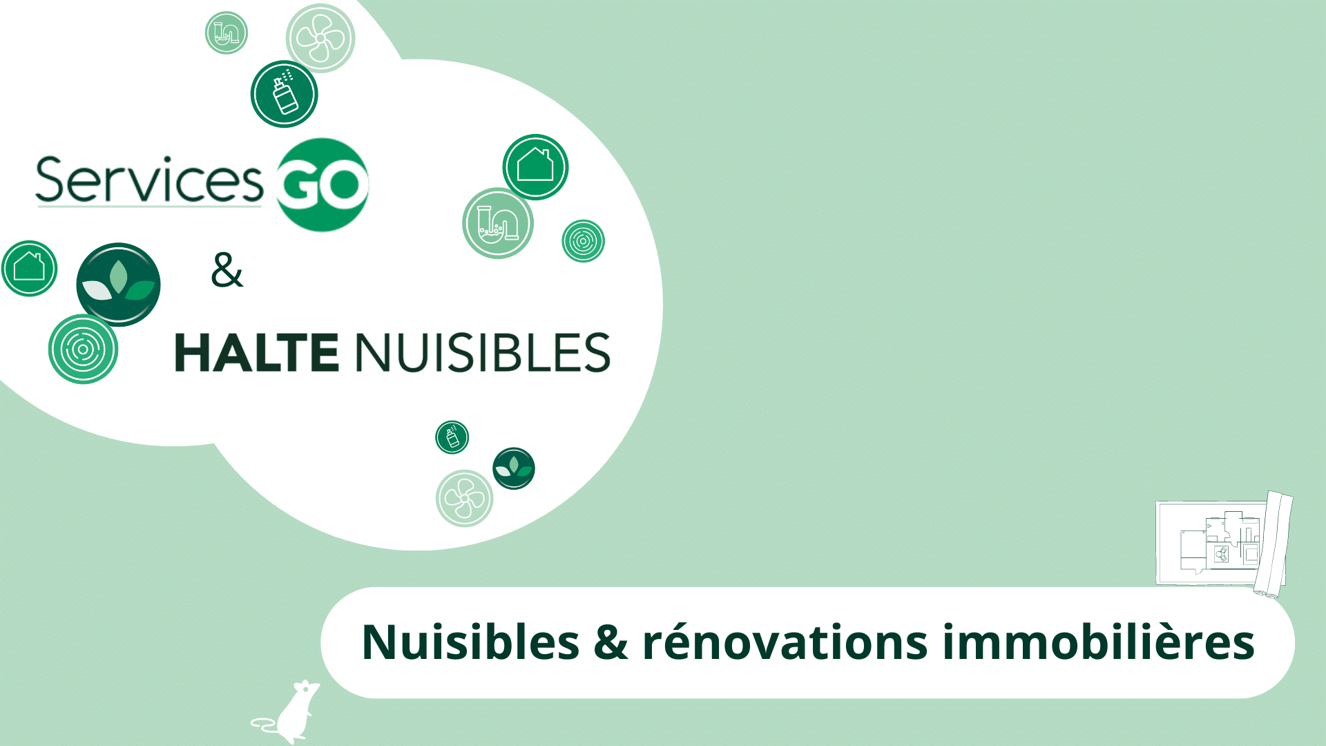 Les nuisibles à traiter lors des rénovations immobilières : les nuisibles à surveiller