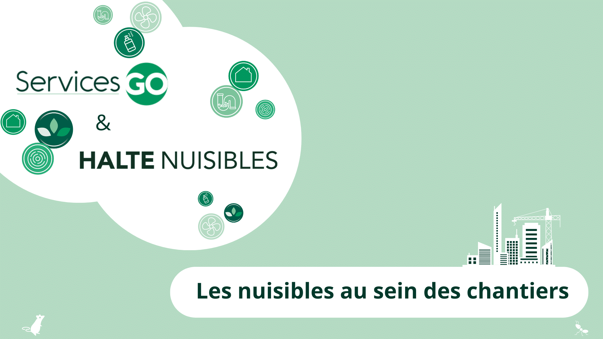 Les nuisibles au sein des chantiers de construction : les nuisibles à surveiller