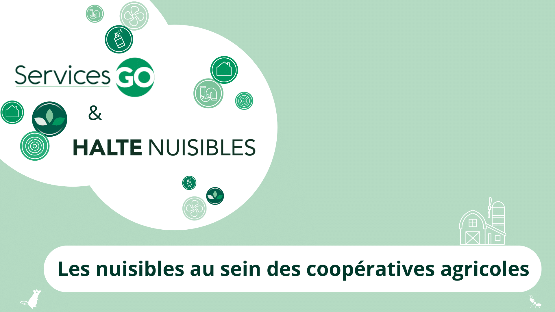 Les nuisibles au sein des coopératives agricoles : les nuisibles à surveiller