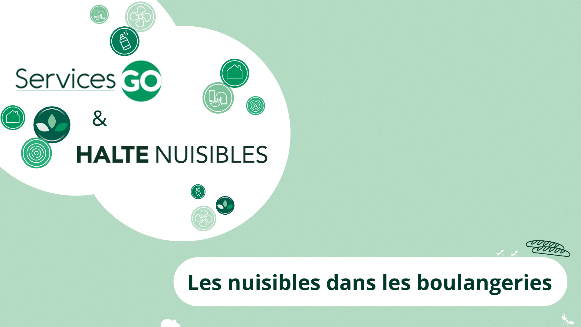 Les nuisibles dans les boulangeries : les nuisibles à surveiller