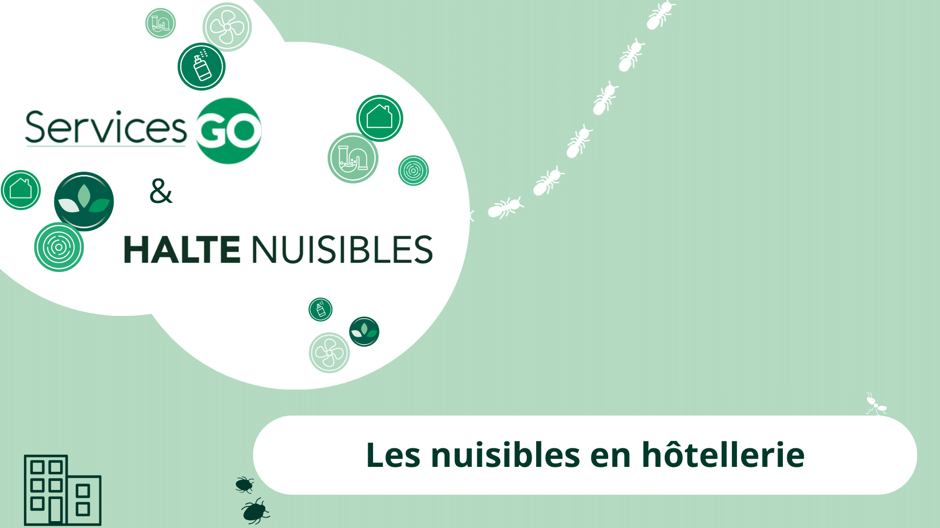 Les nuisibles en hôtellerie : les nuisibles à surveiller
