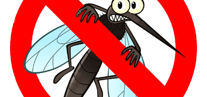 Lutte contre les nuisibles à Paris : 5 signes d&rsquo;une infestation de moustiques