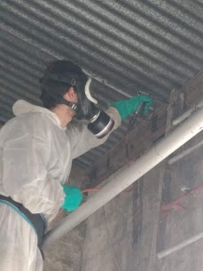 Lutte contre les problèmes de moisissures et d’humidité en saison froide