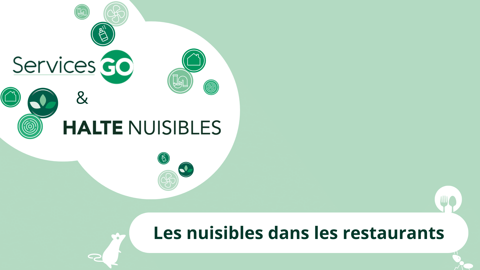Les nuisibles dans les restaurants : les nuisibles à surveiller