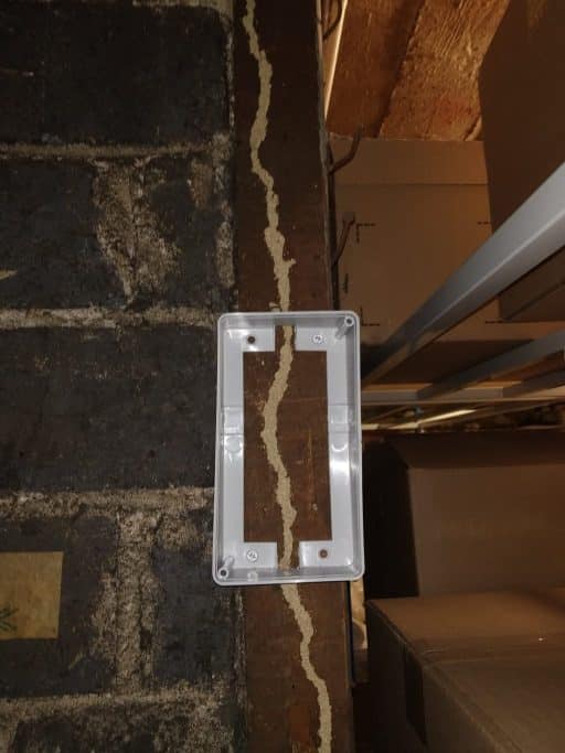 Les termites, qu’est-ce que c’est ? Quels sont les risques ?