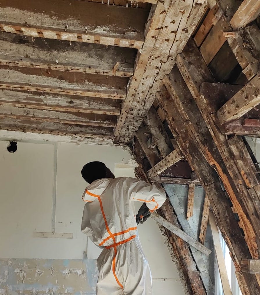 Traitement du bois contre le Capricorne des maisons