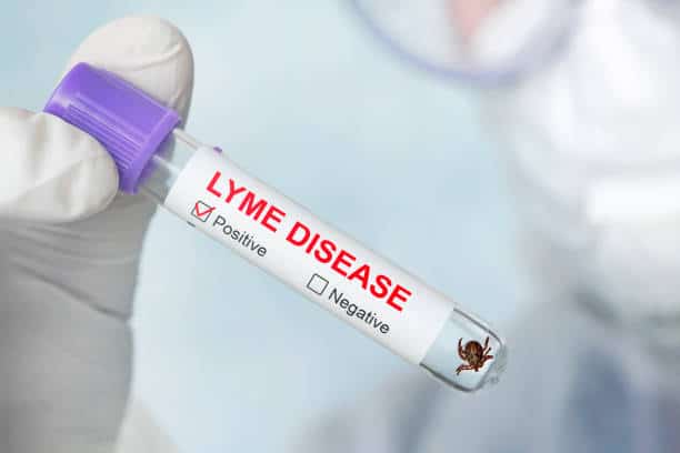 Pourquoi la maladie de Lyme est-elle si dangereuse ?