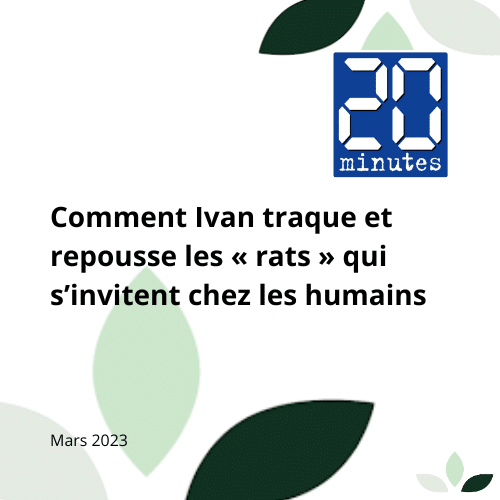 Article sur le métier de dératiseur par 20 minutes