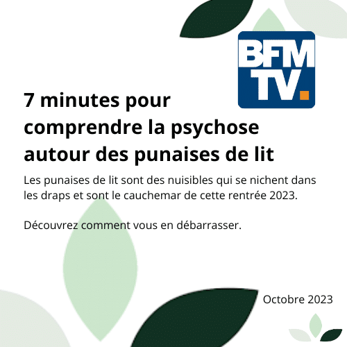 Article sur les punaises de lit par BFM TV