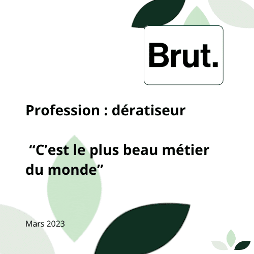 Article sur le métier de dératiseur par Brut