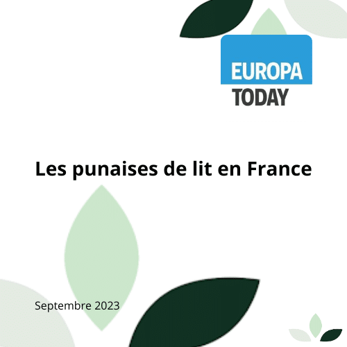 Article sur les punaises de lit par Europa Today