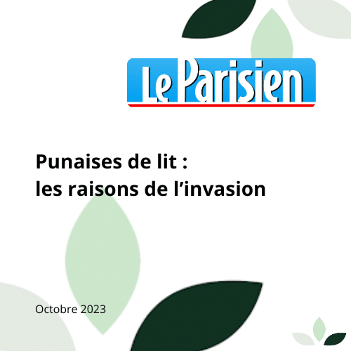 Article sur les punaises de lit par Le Parisien