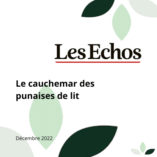 Article sur les punaises de lit par Les Echos