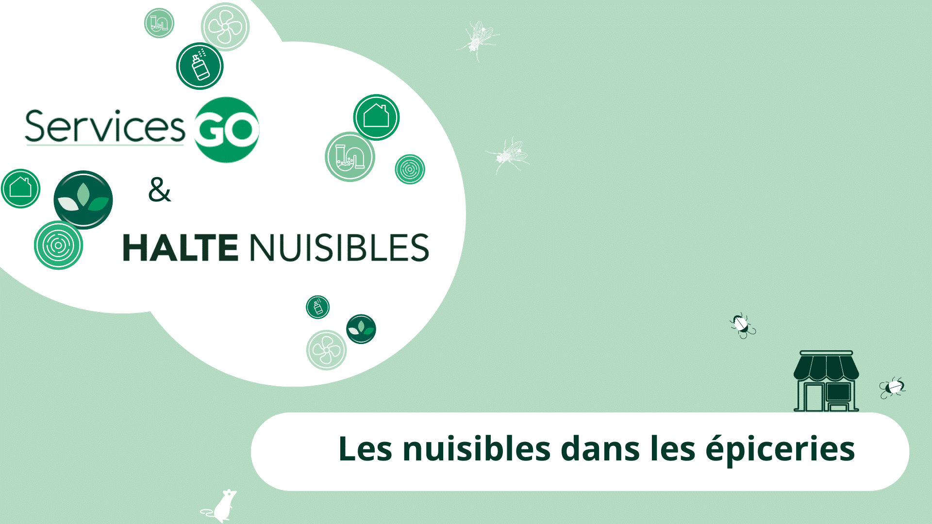 Descriptif des nuisibles dans les épiceries