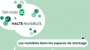 Descriptif des nuisibles dans les espaces de stockage