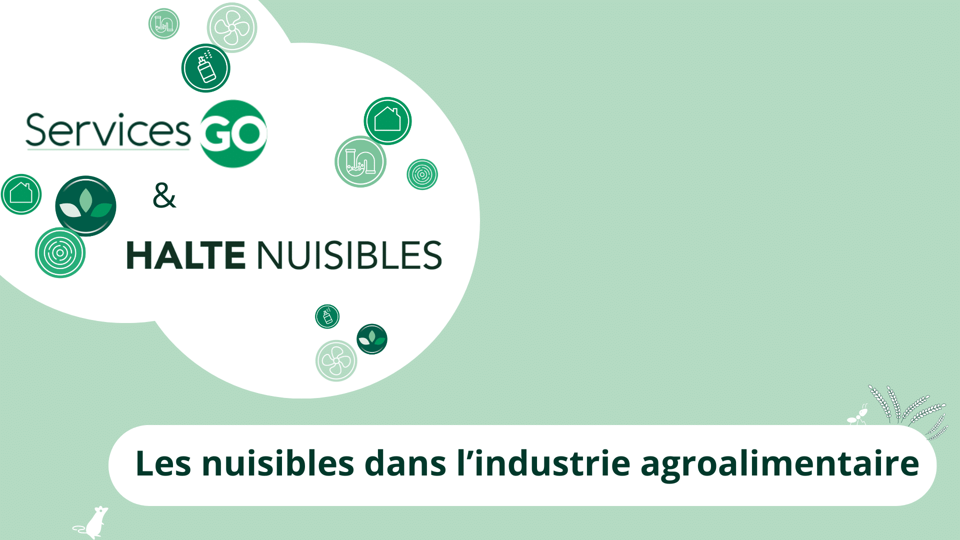 Les nuisibles dans l’industrie agroalimentaire