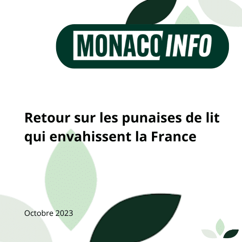 Article sur les punaises de lit par Monaco Info