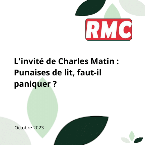 Article sur les punaises de lit par RMC