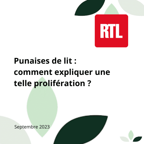 Article sur les punaises de lit par RTL