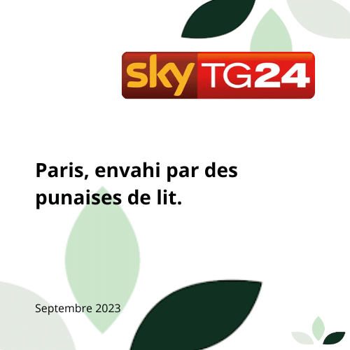 Article sur les punaises de lit par Sky TG24