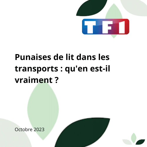 Article sur les punaises de lit par TF1