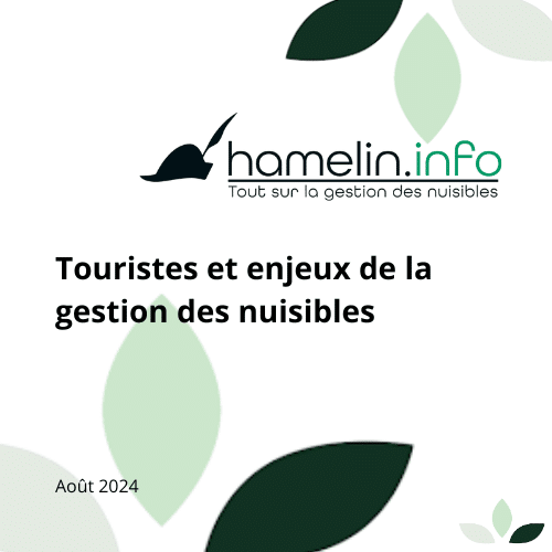 Hamelin Info punaises et touristes